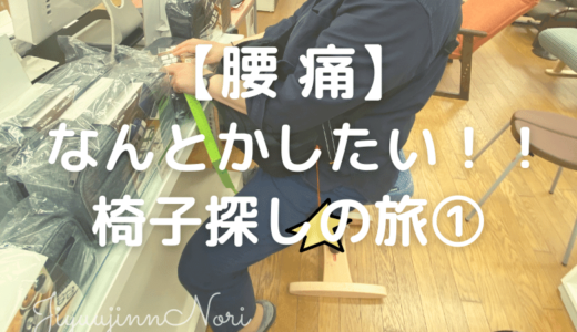 腰痛何とかしたい 椅子探しの旅 アーユル チェアー購入 Jiyuujinn Blog