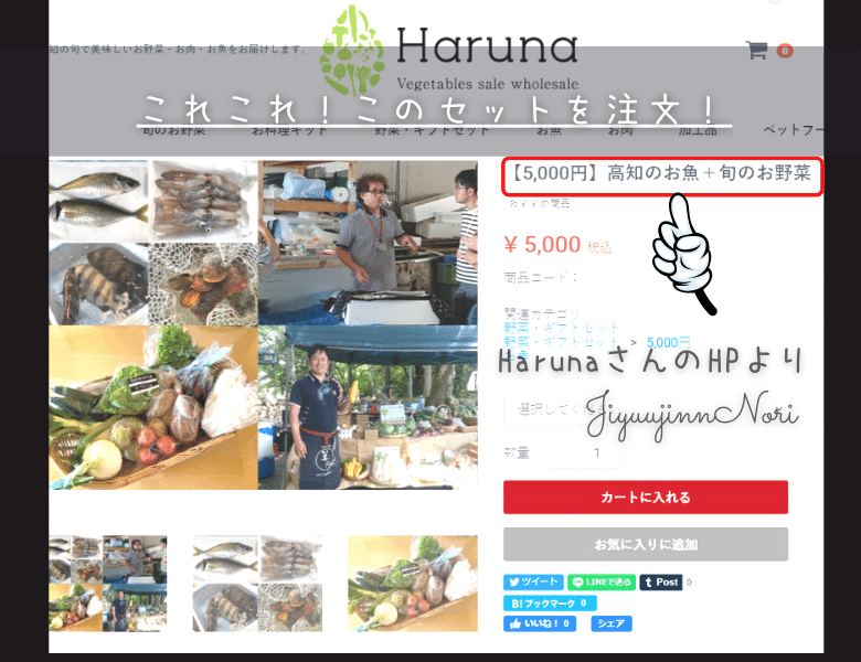 高知のお野菜とお魚Haruna